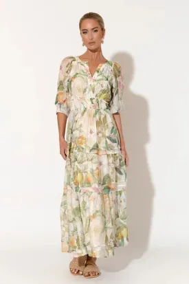 Eliana Adelaide Print 3/4 Sleeve Dress (Print)