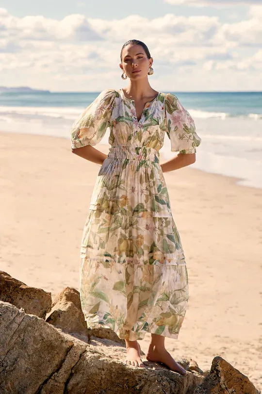 Eliana Adelaide Print 3/4 Sleeve Dress (Print)