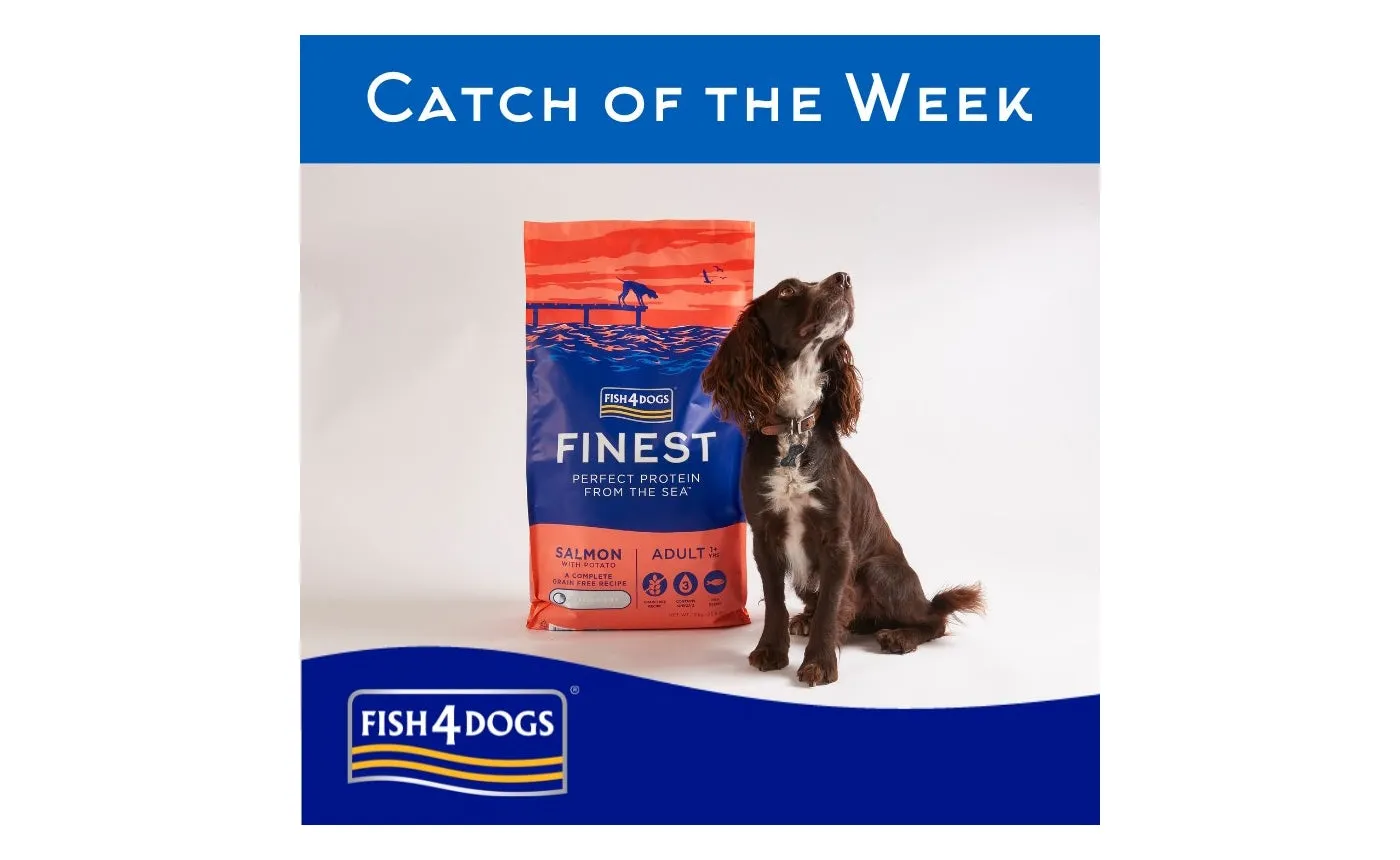 Fish4Dogs - Finest Adult Salmon and Potato (Large Kibble) - 1.5kg