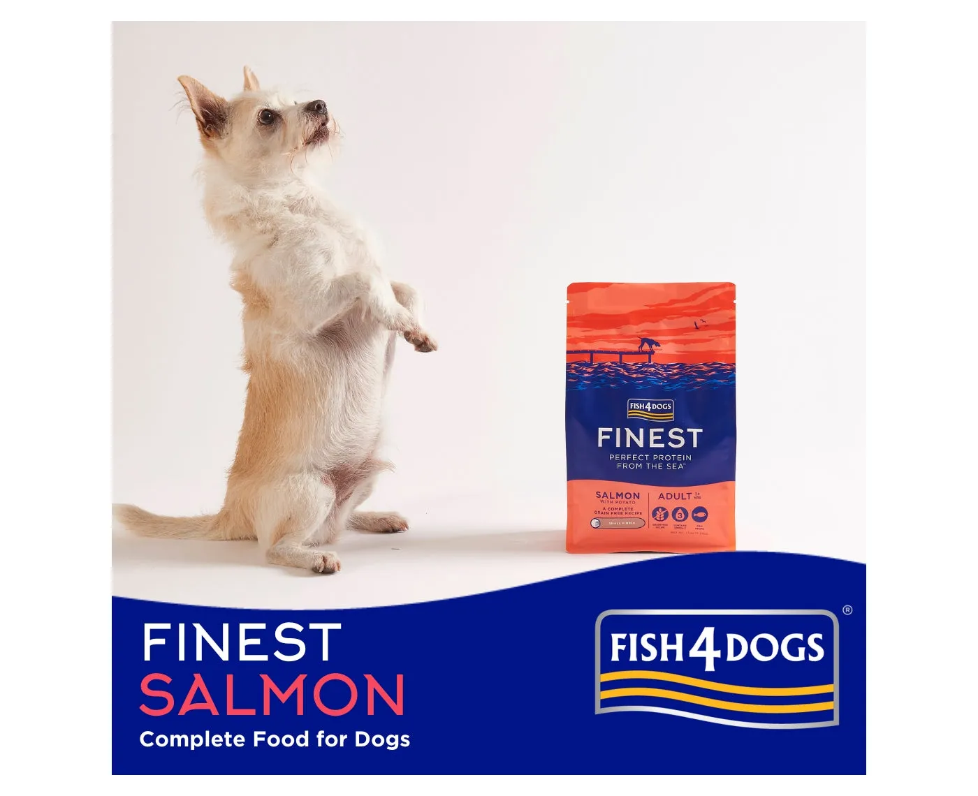 Fish4Dogs - Finest Adult Salmon and Potato (Large Kibble) - 1.5kg