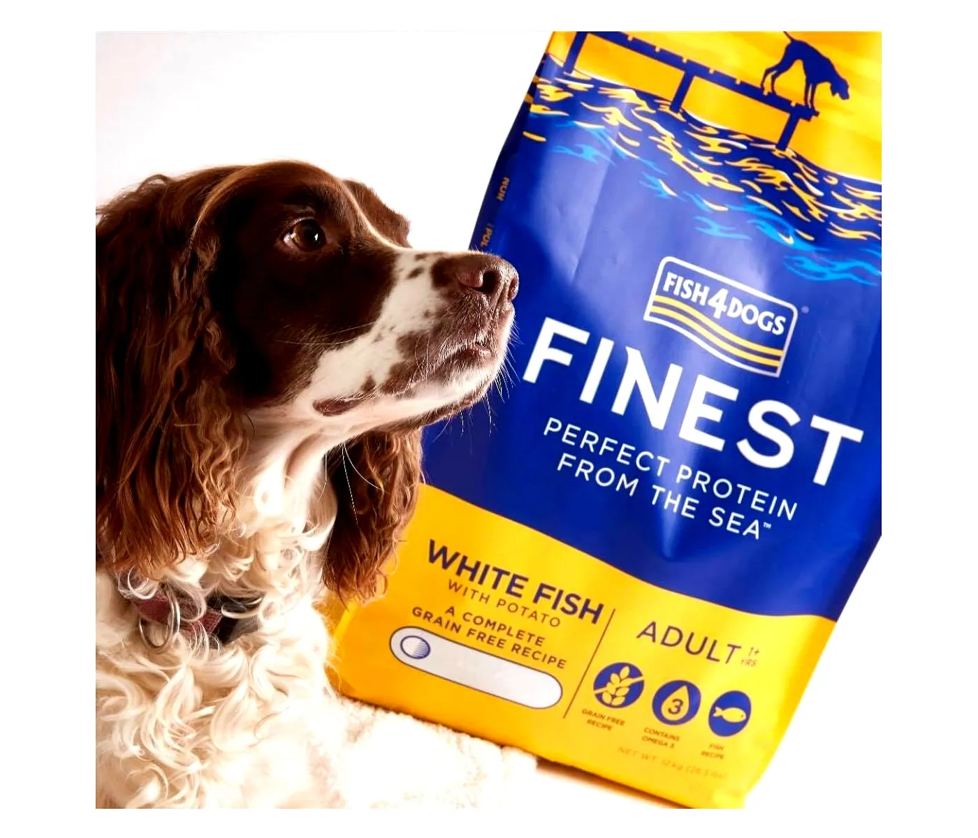 Fish4Dogs - Finest Adult White Fish & Potato (Large Kibble) - 1.5kg